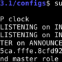 01_ptp4l_master_dut1.png