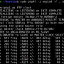 01_ptp4l_slave_dut2.png