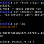 02_git_checkotu.png